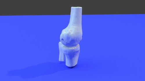 Left knee - Extremity, Lower (Leg) - embodi3D.com