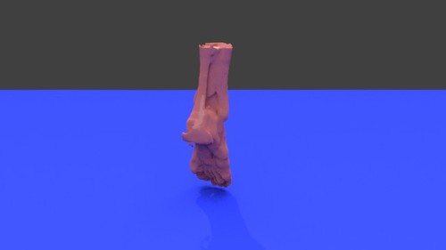 Normal Right Foot and Ankle Muscle Model 3D Printable STL File ...