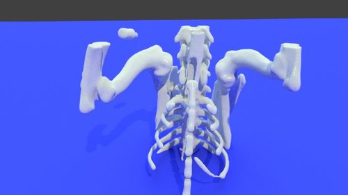 Lucy bone - stl file processed - Dogs - embodi3D.com