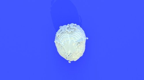 Rachel's bad head - stl file processed - Skull and Face - embodi3D.com