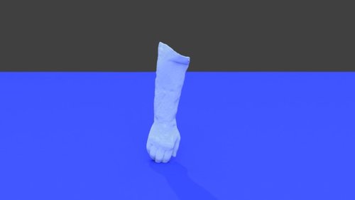 Forearm - Skin - embodi3D.com