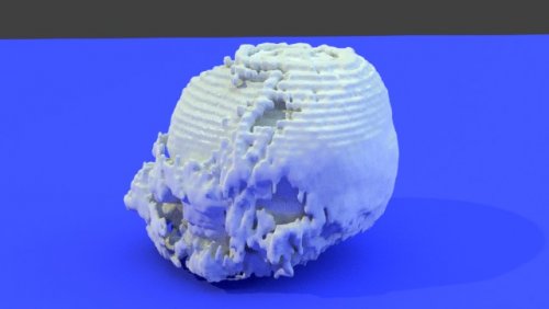test head - stl file processed - Brain - embodi3D.com