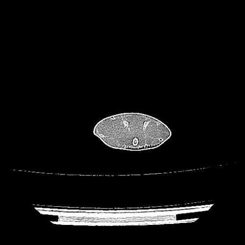 Shark_Scan Veterinary scans