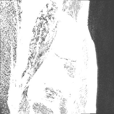Traian_test - MRIs - embodi3D.com