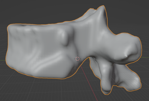 3d Model Of Thoracic Vertebrae Spine And Pelvis Embodi3D