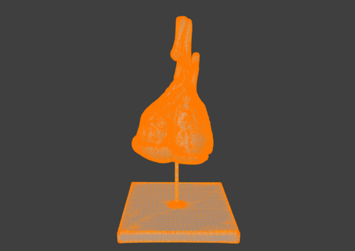 3D Model of Pulmonary Lobule - Lungs - embodi3D.com