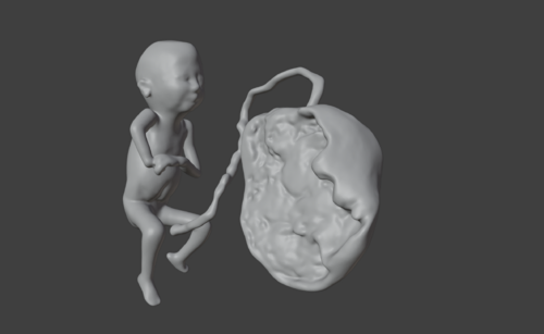 3D Model of Lifeform Human Fetus Replica - 5 Month Female - Other ...