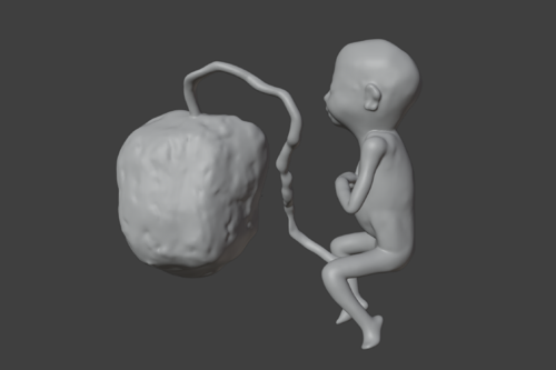 3D Model of Lifeform Human Fetus Replica - 5 Month Female - Other ...