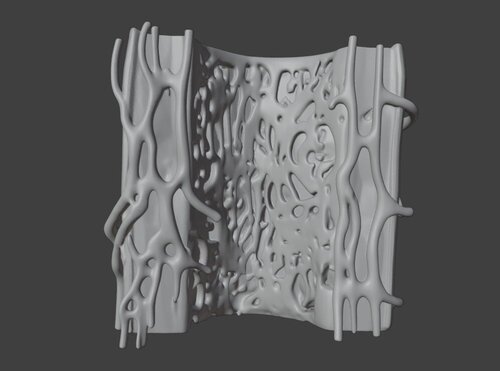 3D Model of Bone Anatomy - Other organs - embodi3D.com