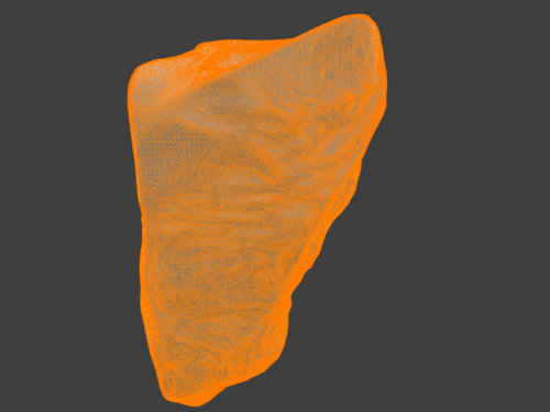 3D Scapula Bone Model - Extremity, Upper (Arm) - embodi3D.com