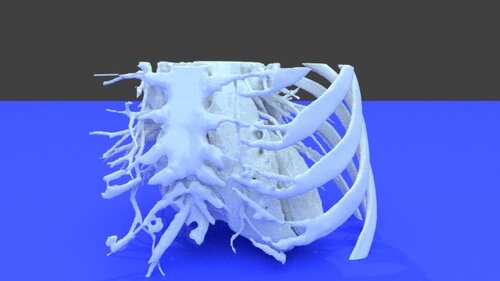 Spine - stl file processed - Heart - embodi3D.com